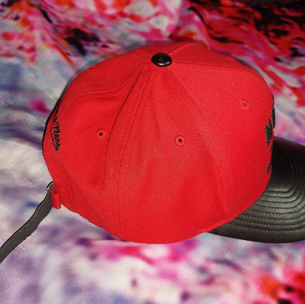 Toronto Raptors Hat - Picture 4 of 5